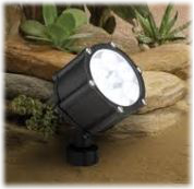 Landscape Spot Light